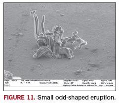 Figure 11