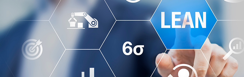 Lean Six Sigma for EMS